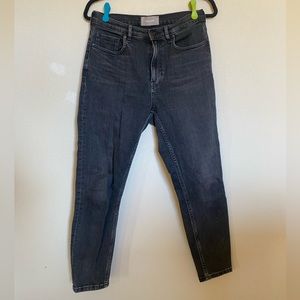 Everlane | high rise skinny (washed black) 29 ankle